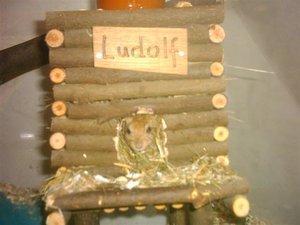 DSCK0009 (Small).JPG