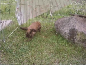 P04-08-09_14.42[3] (Medium).jpg