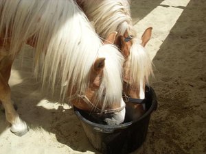 SL380848 - Kopie.JPG