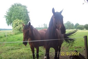 Sepp und Ghana 3.jpg