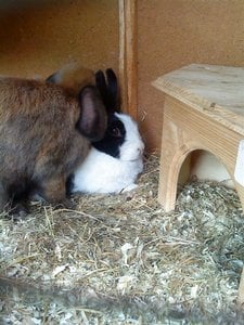 DSC00195 (Medium).JPG