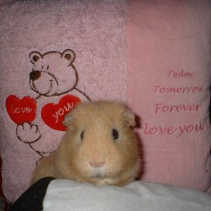 richy arrogant zwei.jpg