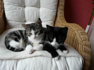 GrÃ¶ÃŸenÃ¤nderung P1030935.JPG