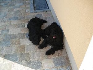 Jamuna,Kyibu,Steini 061.jpg