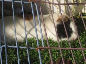 Neue Pics xD 141.jpg