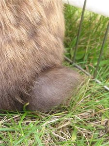 P1010043 (Small).JPG