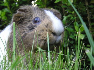 Tommy&MArie (564).JPG