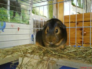 Neue Pics xD 098.jpg