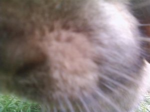 P&L 09 (147) (Small).jpg