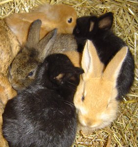 DSC03928.JPG DSC03928.JPG