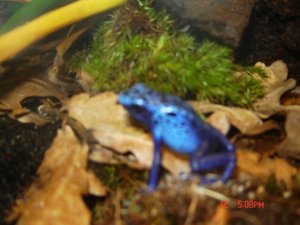 Bild 032 [50%] [50%].jpg