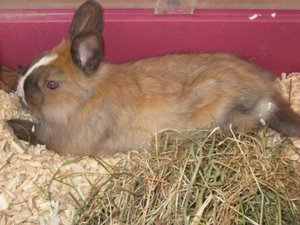 Kopie von IMG_5089.JPG