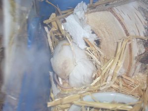 P1050223 kleiner.JPG