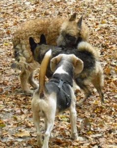 erstes Kennenlernen.jpg