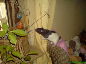 DSC00465_BildgrÃ¶ÃŸe Ã¤ndern.JPG