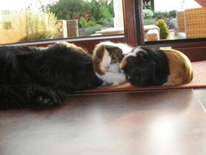 Jamuna,Kyibu,Steini 019.jpg