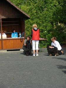 Ausstellungsbilder 010.jpg