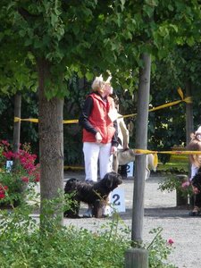 Ausstellungsbilder 013.jpg