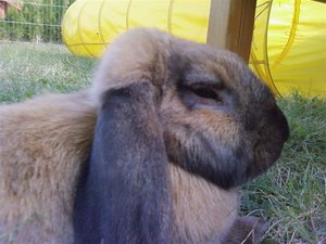 P26-09-09_13.20[4] (Medium).jpg