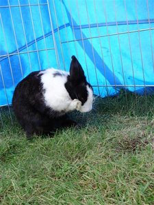 P7230061 (Medium).JPG