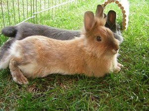 Kopie von DSCN2405.JPG