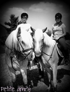 petite amitÃ©.jpg