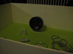 dude im freilauf.jpg