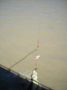 Weihnachten bei Oma - Australien - 2002 - 446.jpg