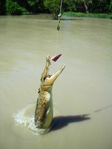 Weihnachten bei Oma - Australien - 2002 - 456.jpg