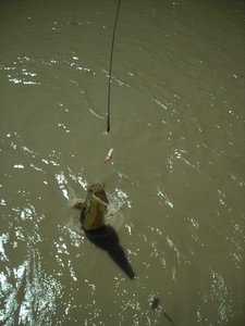 Weihnachten bei Oma - Australien - 2002 - 449.jpg