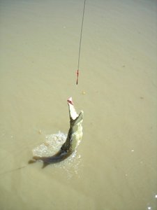 Weihnachten bei Oma - Australien - 2002 - 453.jpg