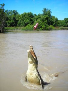 Weihnachten bei Oma - Australien - 2002 - 459.jpg