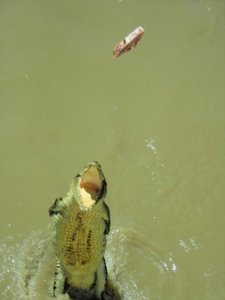 Weihnachten bei Oma - Australien - 2002 - 460.jpg