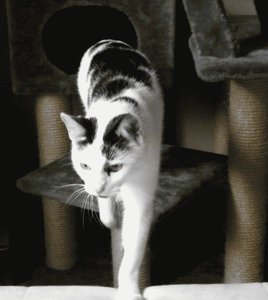 DSCF0616 - Kopie.jpg