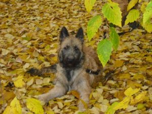 Ich bin schÃ¶n.jpg