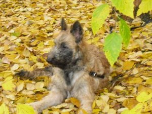 ich bin schÃ¶n2.jpg