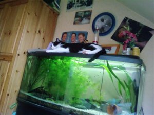 P06-10-09_15.51 (Small).jpg