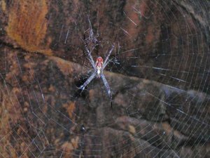 Australienrundreise 2008.jpg