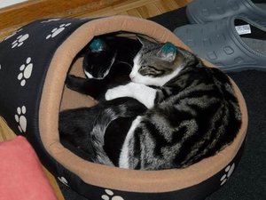 GrÃ¶ÃŸenÃ¤nderung P1040023.JPG