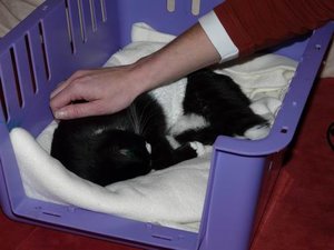 GrÃ¶ÃŸenÃ¤nderung P1040024.JPG