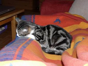 GrÃ¶ÃŸenÃ¤nderung P1040026.JPG