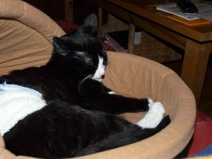 GrÃ¶ÃŸenÃ¤nderung P1040027.JPG