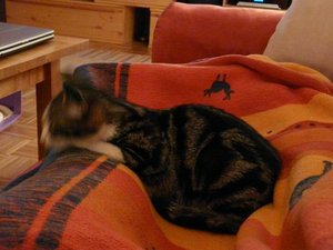 GrÃ¶ÃŸenÃ¤nderung P1040029.JPG