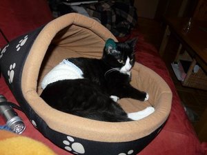 GrÃ¶ÃŸenÃ¤nderung P1040030.JPG