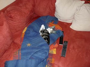 GrÃ¶ÃŸenÃ¤nderung P1040031.JPG