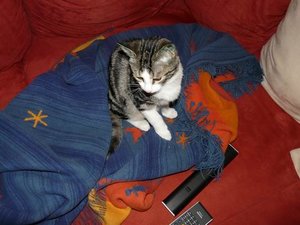 GrÃ¶ÃŸenÃ¤nderung P1040032.JPG