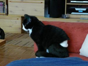 GrÃ¶ÃŸenÃ¤nderung P1040034.JPG