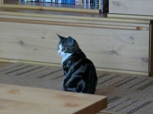 GrÃ¶ÃŸenÃ¤nderung P1040035.JPG