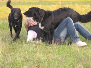 Gassi 21.9.08 024.jpg