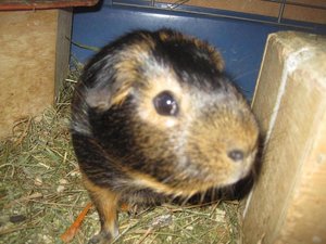 Bilder vom Handy 001.jpg